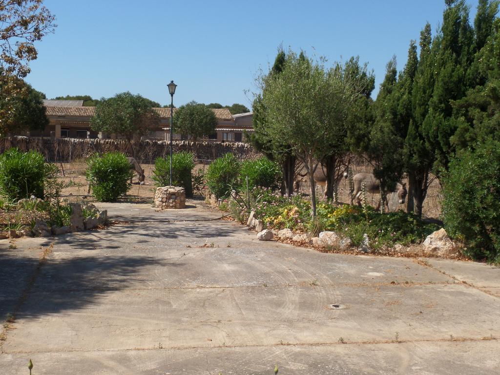 Sa Bassa Crua Agroturismo Sa Torre Extérieur photo
