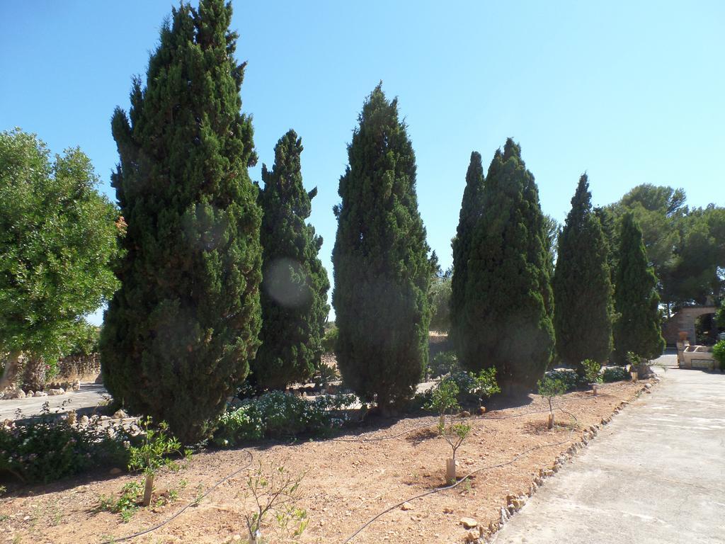 Sa Bassa Crua Agroturismo Sa Torre Extérieur photo